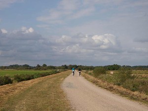 Mit dem Fahrrad durch die Hammeniederung