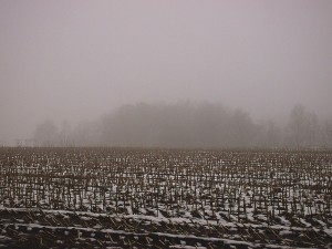 Schietwetter: So kann es auch mal in Worpswede aussehen.